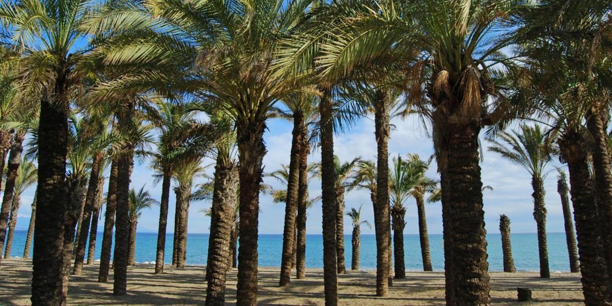 Apartamento Carole Playa Bajondillo Torremolinos Beach - Playa A 30 Segundos - Wifi - Parking - Terraza Apartamento Exterior foto
